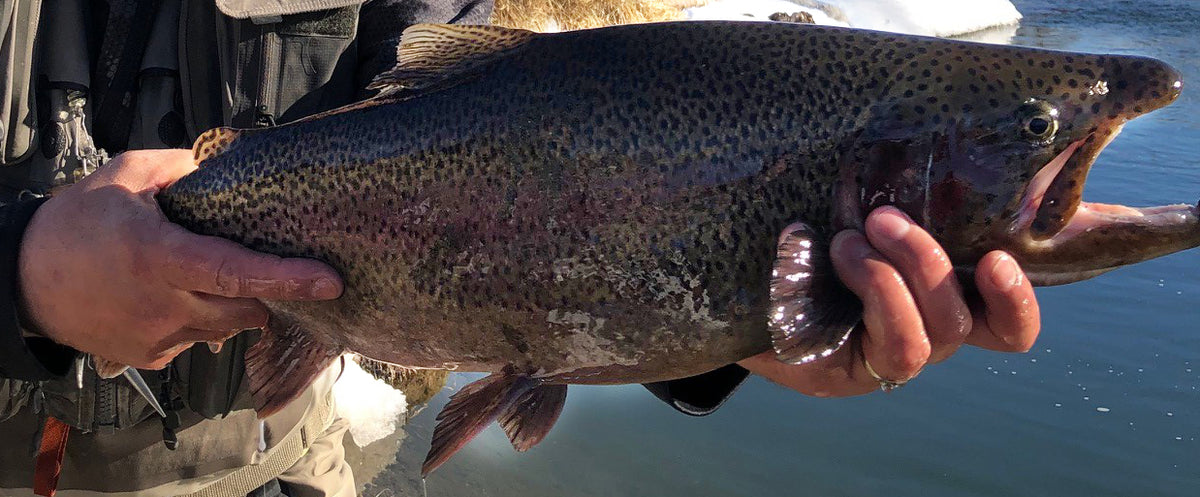 Winter Fishing Tips