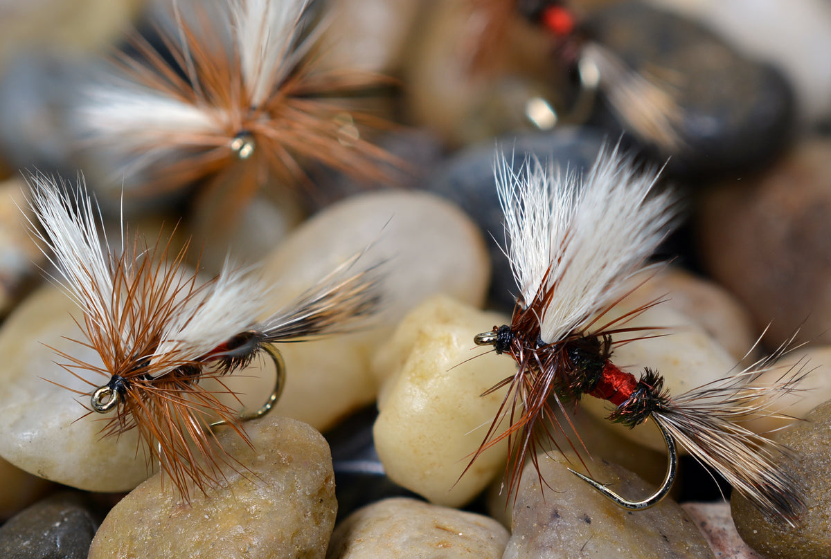 Dry Flies