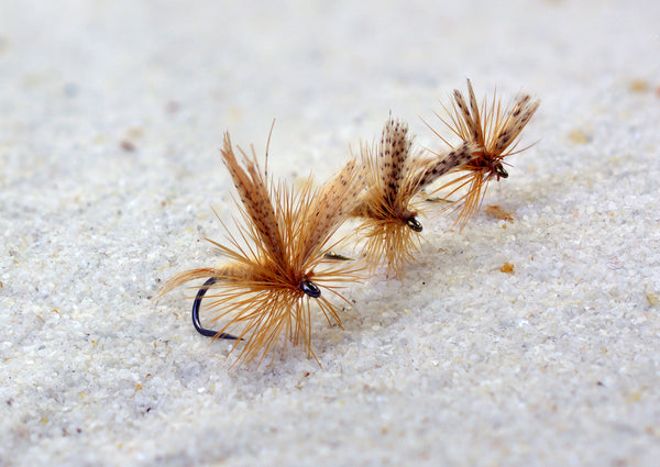 Light Cahill Dry Flies