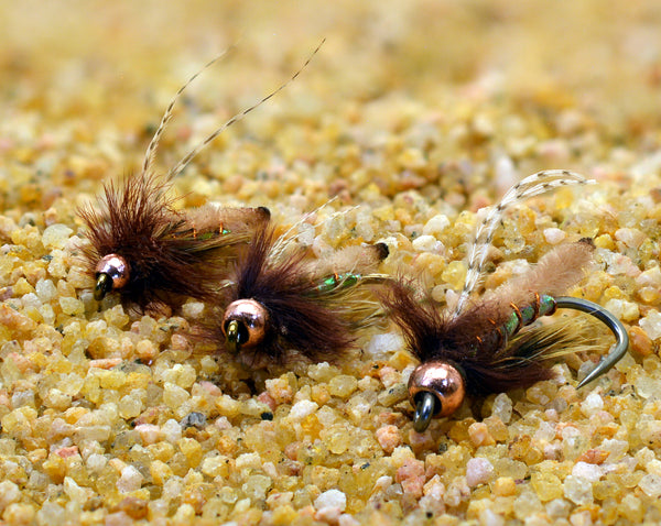Tan Fox Poopah Nymph