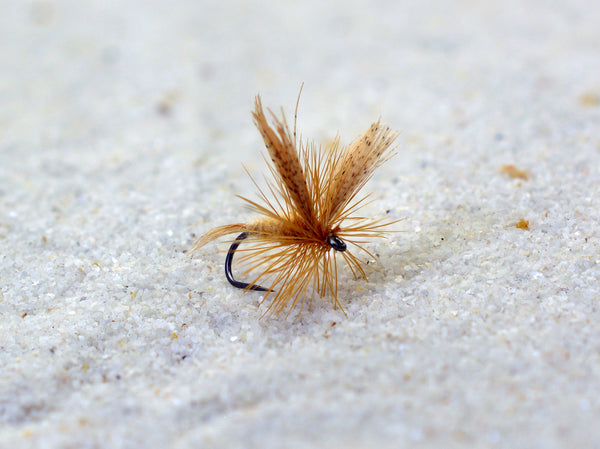 Light Cahill Dry Flies