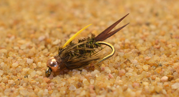 Amber Prince Nymph