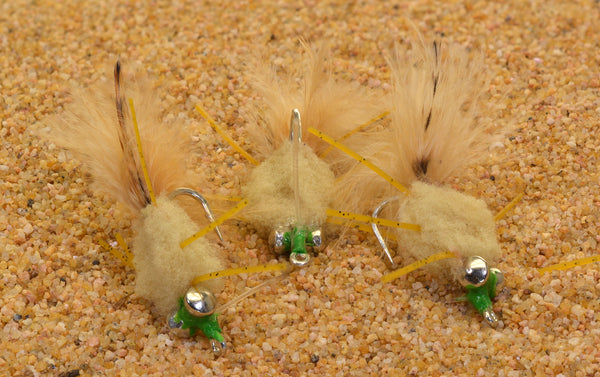 Rag Head Crab Fly