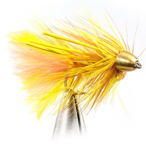 Cone Head Autumn Splendor Fly