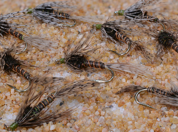 Midway Wet Fly Group