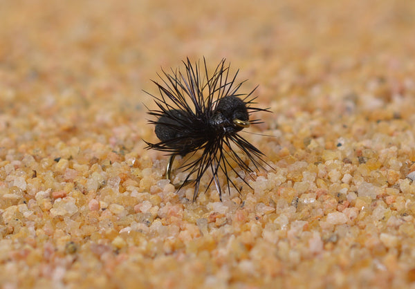 Foam Ant Dry Fly