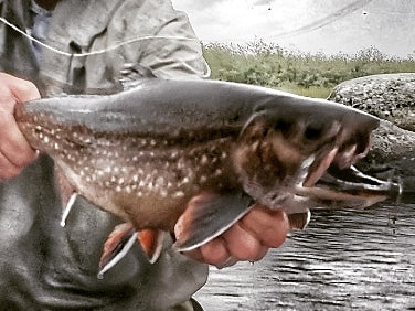 Robert's Impressions Region's Rods and Reels