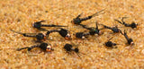 Black Micro Mayfly