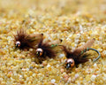Tan Fox Poopah Nymph – shown in three hook sizes