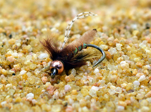 Tan Fox Poopah Nymph