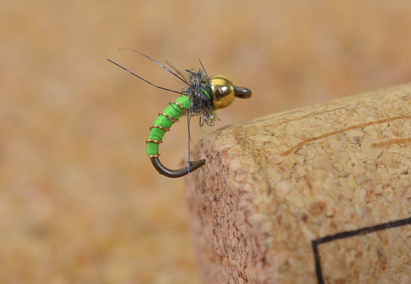 Beadhead Caddis Larva
