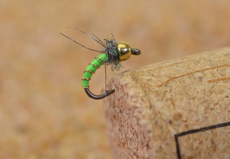 Beadhead Caddis Larva