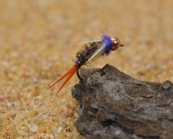 Halo Prince Fly