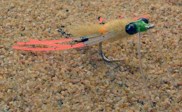 Mantis Shrimp Fly
