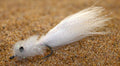 Schminnow Saltwater Fly