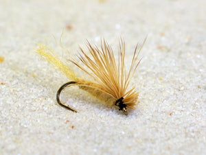 Feeder Creek Fly Fishing Dry Flies Assortment, 6 Patterns Renegade, Black  Gnat, Elk Hair Caddis Tan, Adams Parachute and More, Great for Trout 