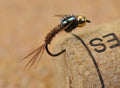 Quasimodo Pheasant Tail Nymph Fly