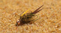 Amber Prince Nymph
