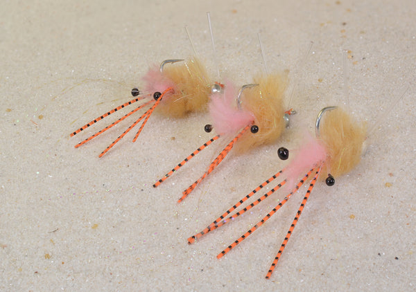 Spawning Shrimp – Region Fishing