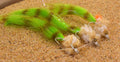 Kwan - Green