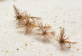 March Brown Dry Flies