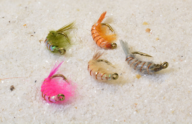 Scuds Nymph – available colors