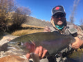Big Rainbow Trout