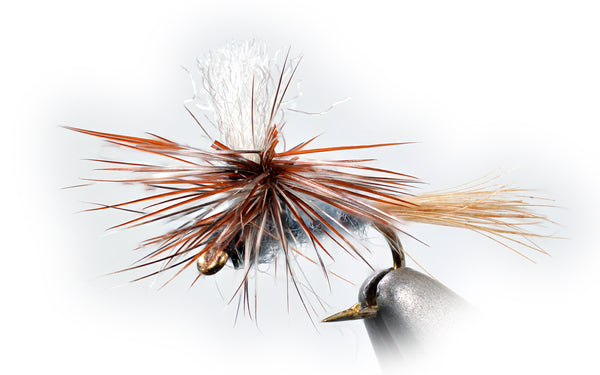 Parachute Adams Dry Fly