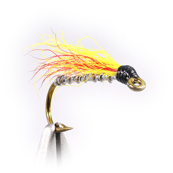 Micky Finn Fly