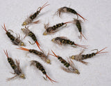 20 Incher Stone Fly Group