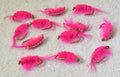 Scuds Nymph – group of flies, additional view