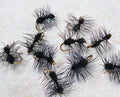 Mortons Ant Fly