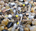 Foam Hopper Yellow and Tan Dry Fly