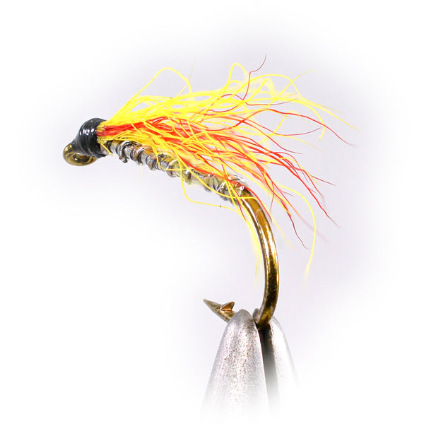 Micky Finn Fly
