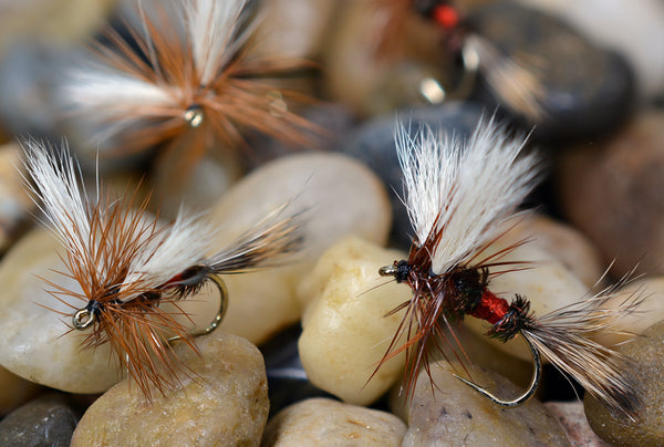 Royal Wulff Dy Fly
