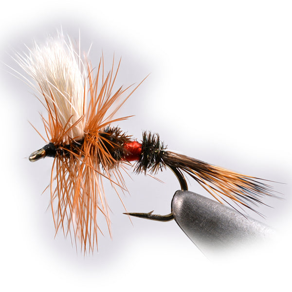 Royal Wulff Dy Fly