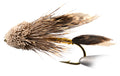 Muddler Minnow Fly