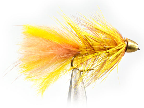 Cone Head Autumn Splendor Fly