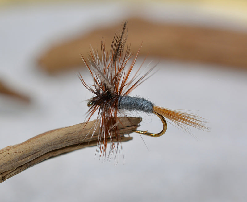 Adams Dry Fly