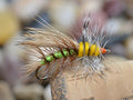 Stimulator Terrestrial Dry Fly