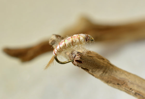 Scuds Nymph