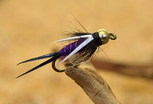 Purple Prince Nymph