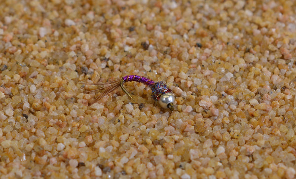 Purple Tungsten Bead Rainbow Warrior