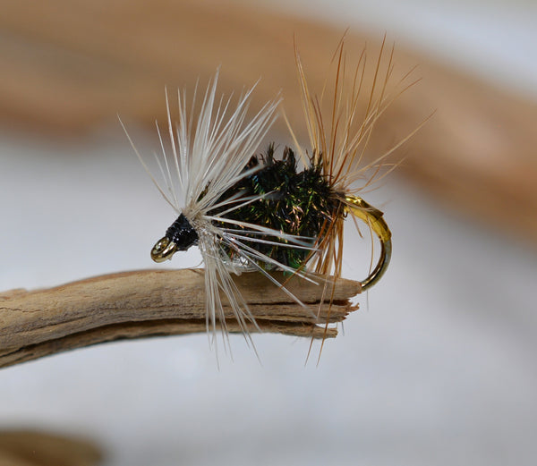 Renegade Wet Fly