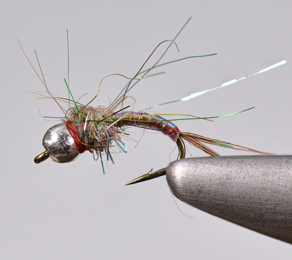 Tungsten Bead Rainbow Warrior Fly