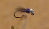Purple Hot Spot Fly