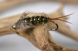 20 Incher Stone Fly