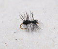 Mortons Ant Fly