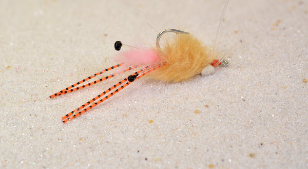 Spawning Shrimp