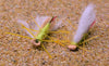 Chubby Chernobyl Hopper Dry Fishing Fly